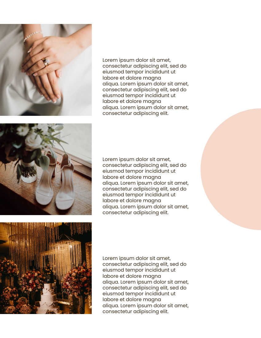 產品目錄 模板。 Wedding Photography Catalog (由 Visual Paradigm Online 的產品目錄軟件製作)