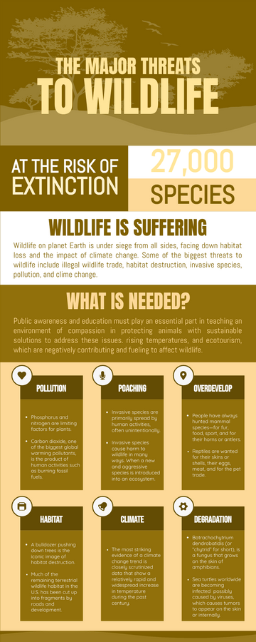 Infographics template: 6 Biggest Threats To Wildlife Infographic (Created by Visual Paradigm Online's Infographics maker)