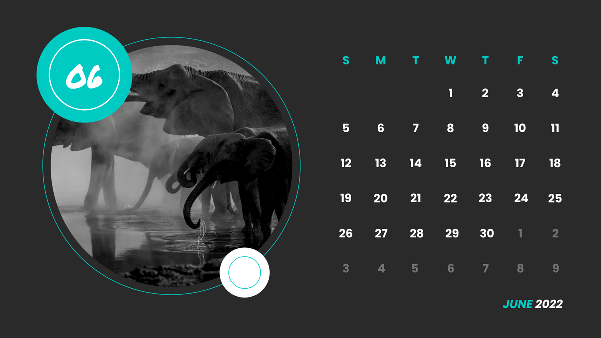 Calendar 模板。 Monochrome Animals Calendar (由 Visual Paradigm Online 的Calendar軟件製作)