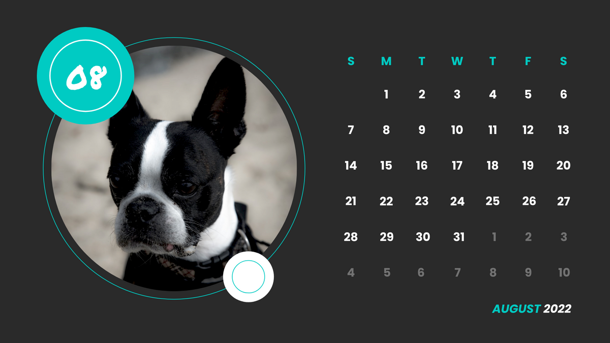 Calendar 模板。Monochrome Animals Calendar (由 Visual Paradigm Online 的Calendar软件制作)