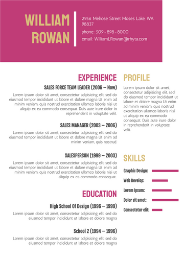 Resume template: Modern Resume 2 (Created by Visual Paradigm Online's Resume maker)