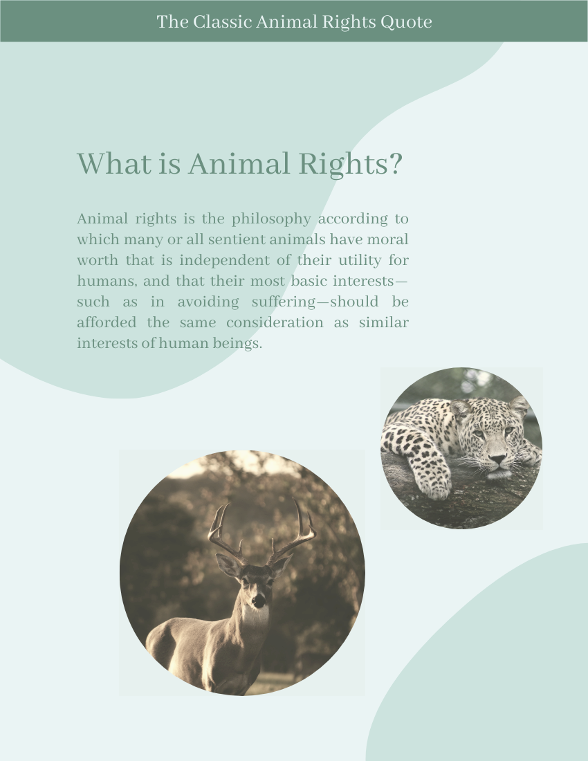 Quote template: The assumption that animals are without rights and the illusion that our treatment of them has no moral significance is a positively outrageous example of Western crudity and barbarity.― Arthur Schopenhauer (Created by Visual Paradigm Online's Quote maker)