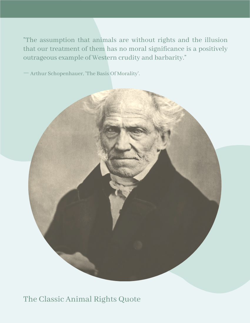 Quote template: The assumption that animals are without rights and the illusion that our treatment of them has no moral significance is a positively outrageous example of Western crudity and barbarity.― Arthur Schopenhauer (Created by Visual Paradigm Online's Quote maker)