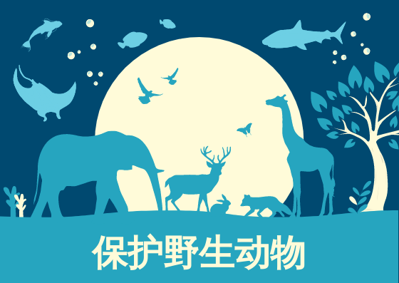 蓝黄色插图保护野生动物明信片