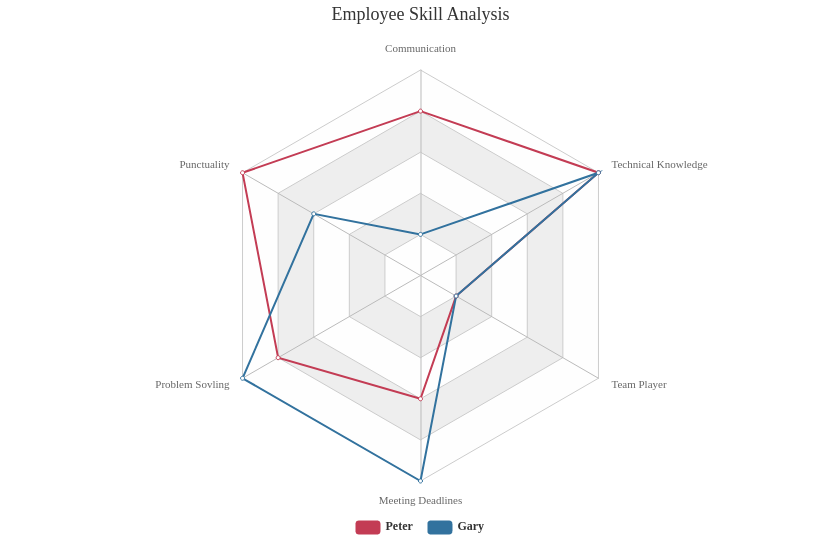 Skill Chart Format