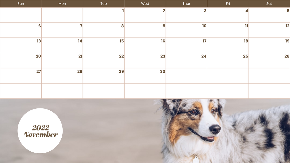 Calendar 模板。Pet Photos Calendar (由 Visual Paradigm Online 的Calendar软件制作)