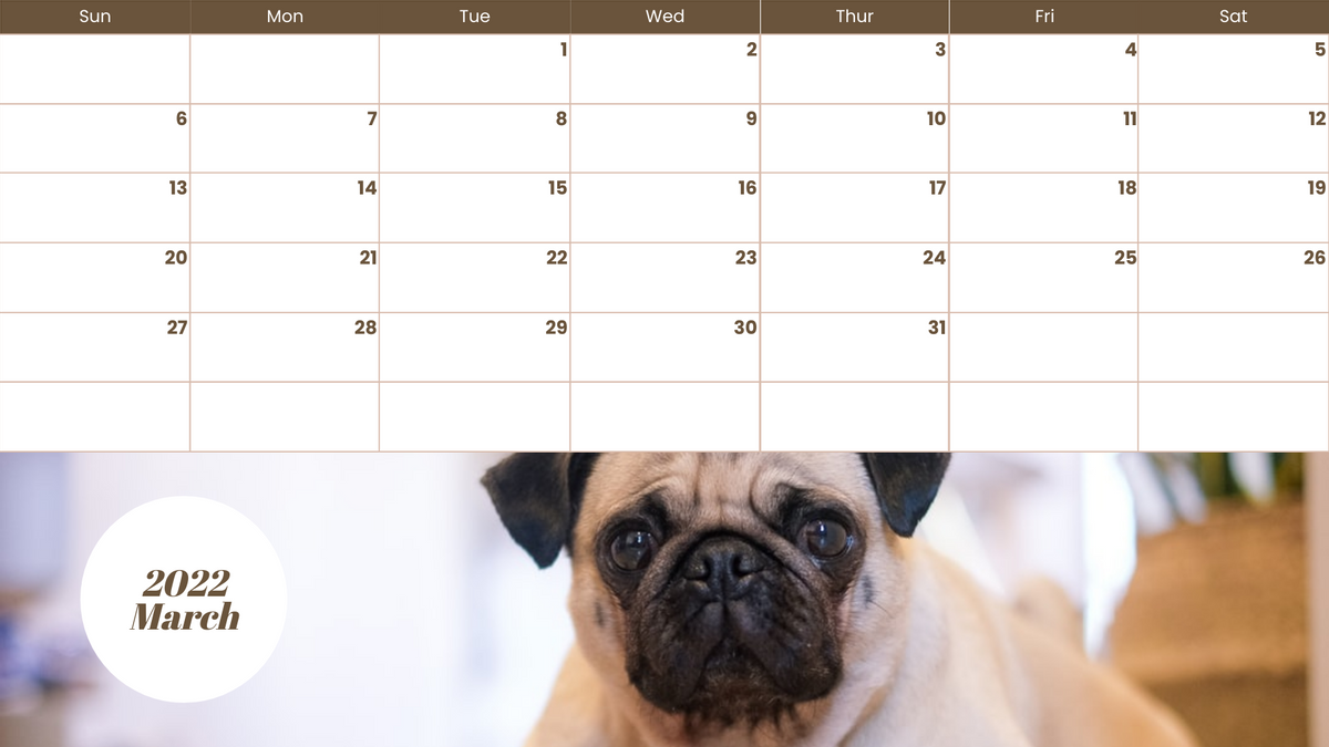 Calendar template: Pet Photos Calendar (Created by Visual Paradigm Online's Calendar maker)