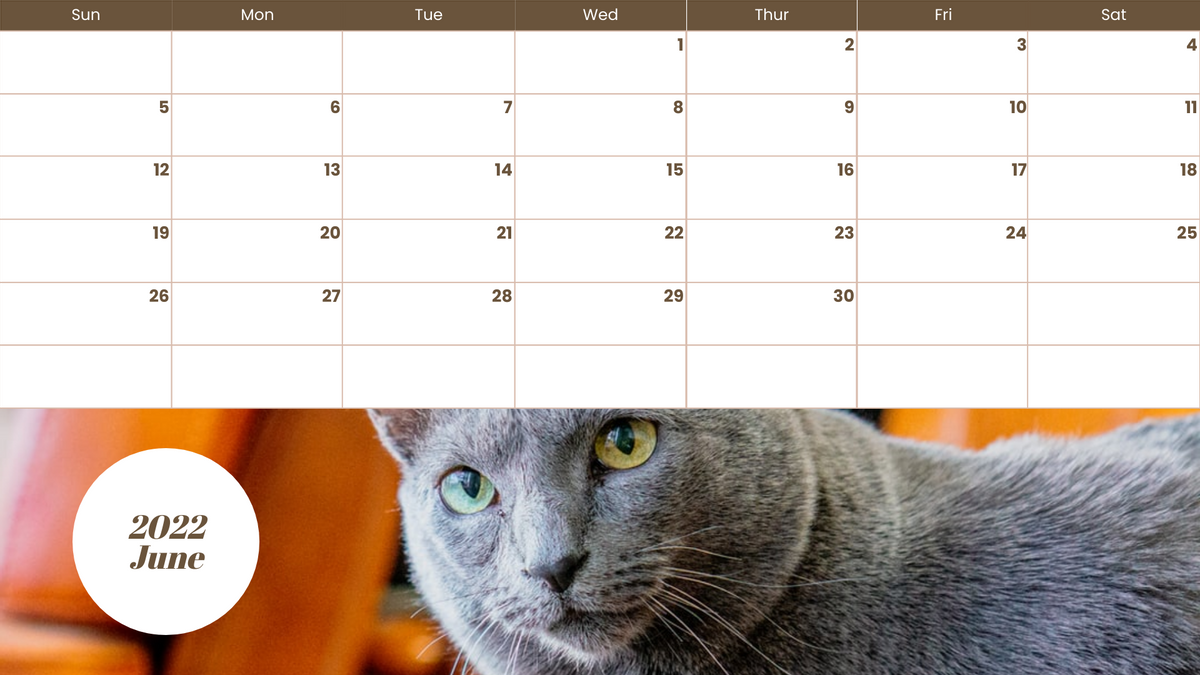 Calendar 模板。 Pet Photos Calendar (由 Visual Paradigm Online 的Calendar軟件製作)