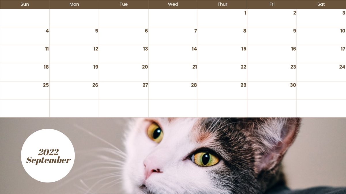 Pet Photos Calendar