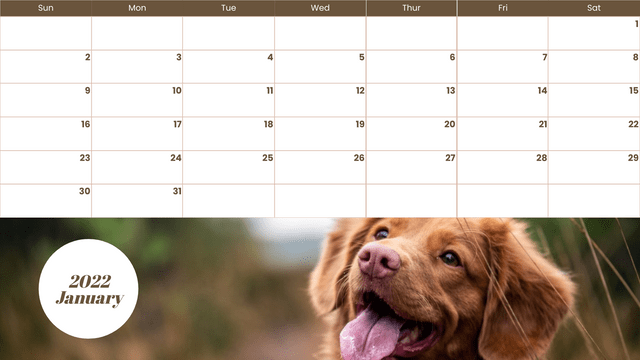 Calendar template: Pet Photos Calendar (Created by Visual Paradigm Online's Calendar maker)