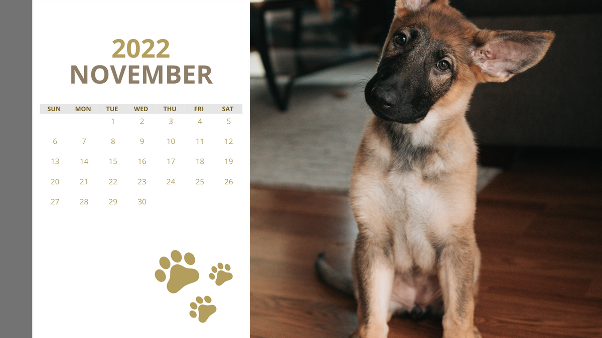 Beautiful Dogs Calendar