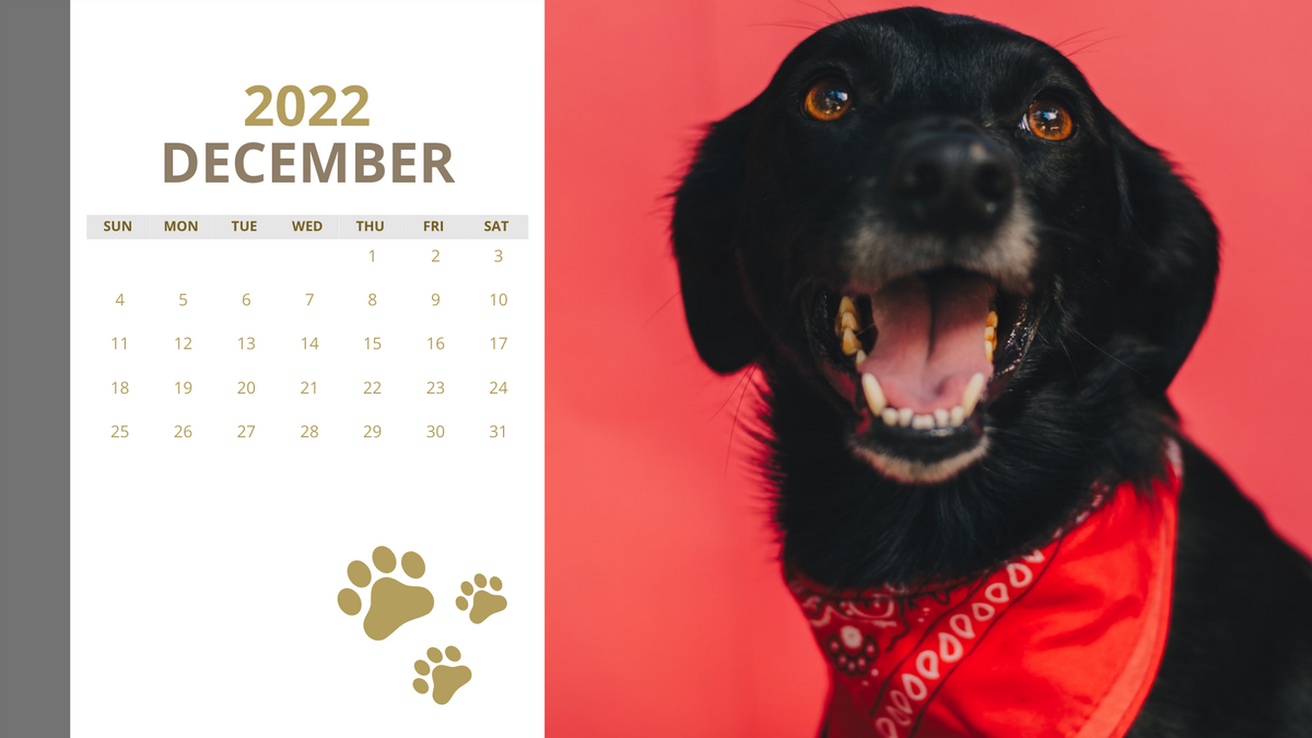 Calendar 模板。Beautiful Dogs Calendar (由 Visual Paradigm Online 的Calendar软件制作)