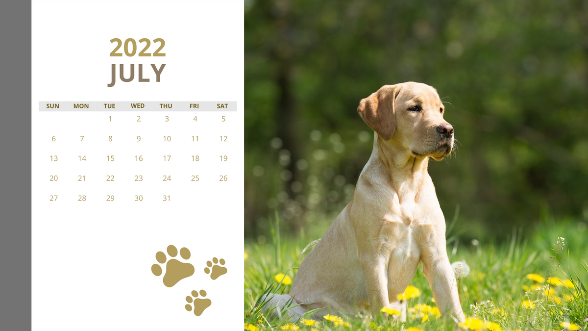 Beautiful Dogs Calendar