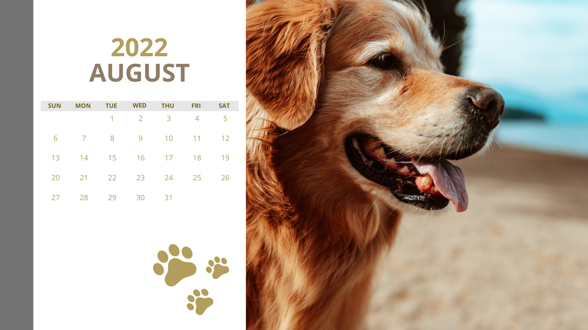 Calendar 模板。 Beautiful Dogs Calendar (由 Visual Paradigm Online 的Calendar軟件製作)