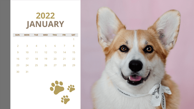 Calendar 模板。Beautiful Dogs Calendar (由 Visual Paradigm Online 的Calendar软件制作)