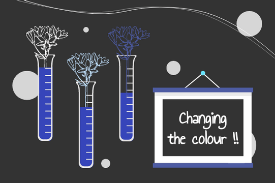 Laboratory template: Changing Colour Of Flowers (Created by Visual Paradigm Online's Laboratory maker)
