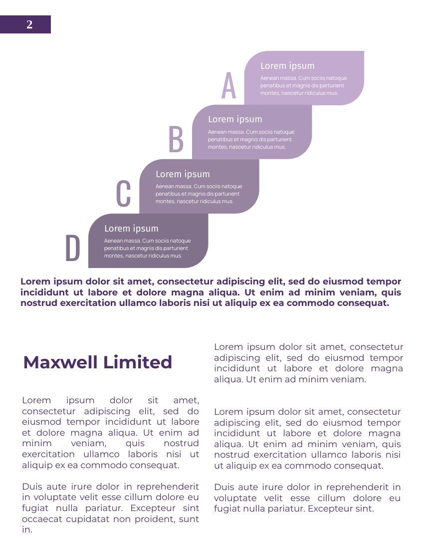 Report template: Brand Management Reports (Created by Visual Paradigm Online's Report maker)