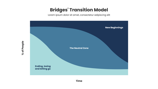 Bridges Transition Model With Phase