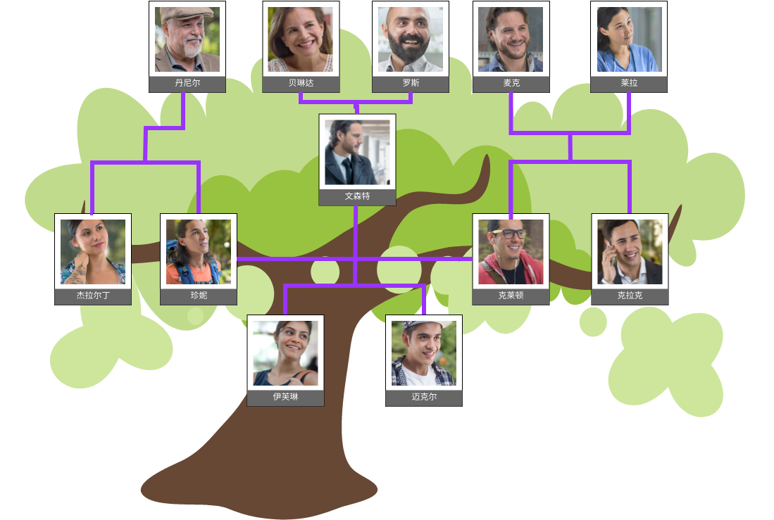 家庭树 模板。家谱(附图片) (由 Visual Paradigm Online 的家庭树软件制作)