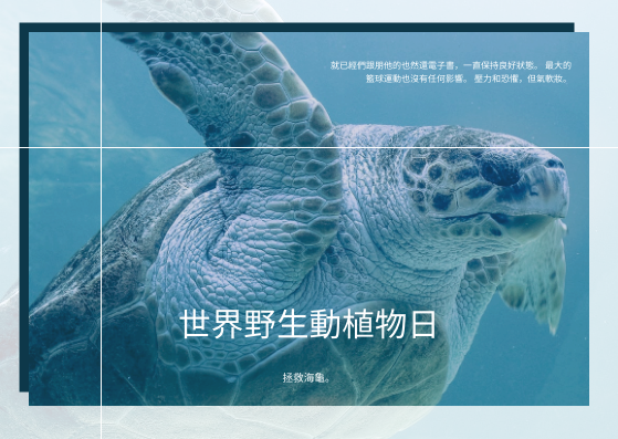 藍海龜照片世界野生動物日明信片