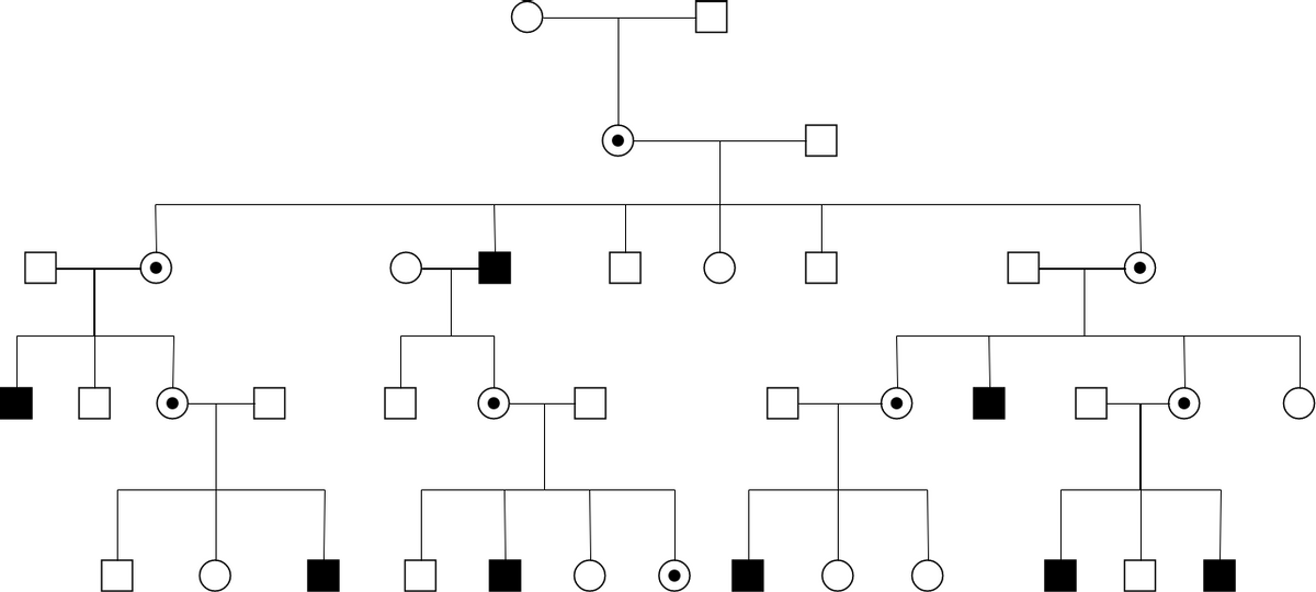 鏈接隱性譜系圖 (譜系圖 Example)