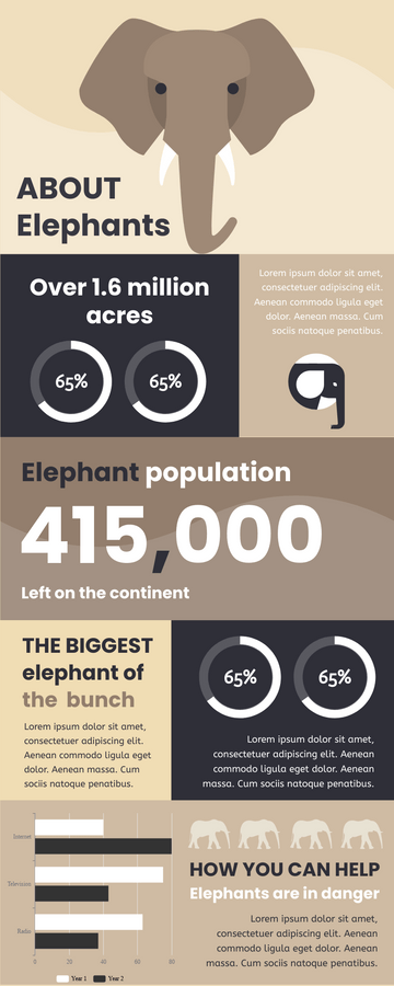 Infographic template: Infographic About Elephants (Created by Visual Paradigm Online's Infographic maker)