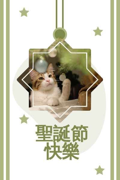 賀卡 模板。 小貓主題聖誕卡 (由 Visual Paradigm Online 的賀卡軟件製作)