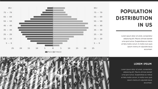 Butterfly Charts template: Population Distribution In US Butterfly Chart (Created by Visual Paradigm Online's Butterfly Charts maker)