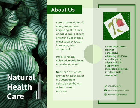 Brochure template: Natural Health Care Brochure (Created by Visual Paradigm Online's Brochure maker)