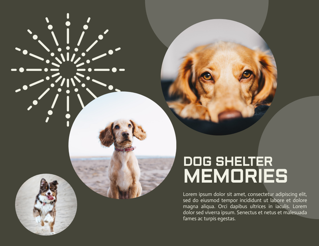 Pet Photo book template: Dog Shelter Photobook Diagram (Created by Visual Paradigm Online's Pet Photo book maker)
