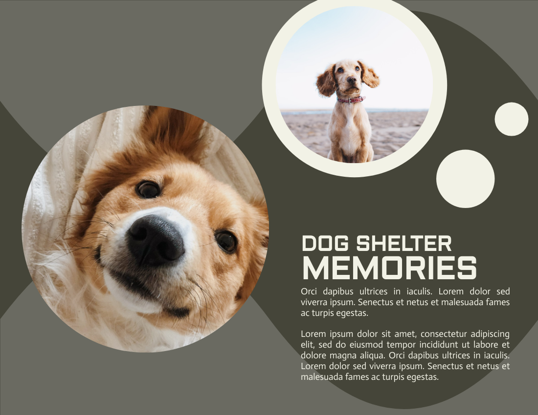 宠物照相簿 模板。Dog Shelter Photobook Diagram (由 Visual Paradigm Online 的宠物照相簿软件制作)