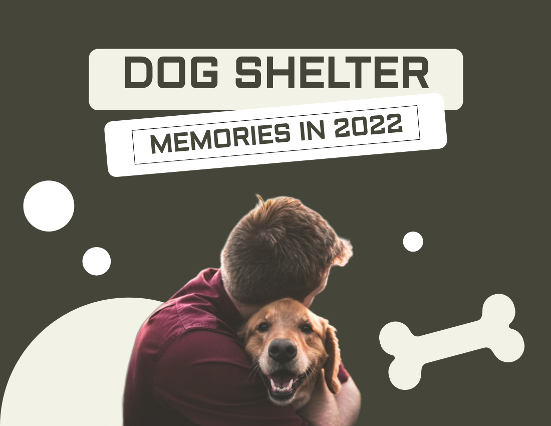 Pet Photo book template: Dog Shelter Photobook Diagram (Created by PhotoBook's Pet Photo book maker)
