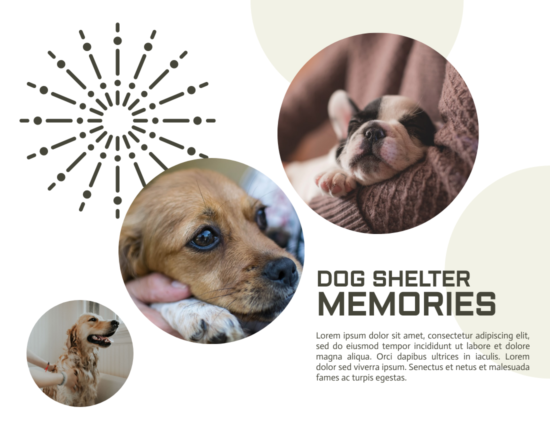 Dog Shelter Photobook Diagram