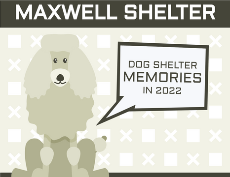 Pet Photo book template: Dog Shelter Photobook Diagram (Created by InfoART's  marker)