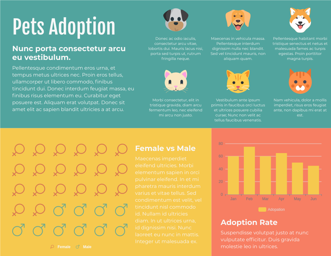 Infographic template: Pets Adoption horizontal Infographic (Created by Visual Paradigm Online's Infographic maker)