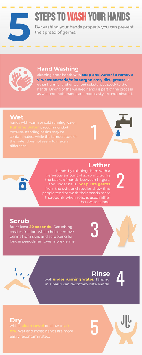 Five Steps to Wash Your Hands the Right Way Infographic