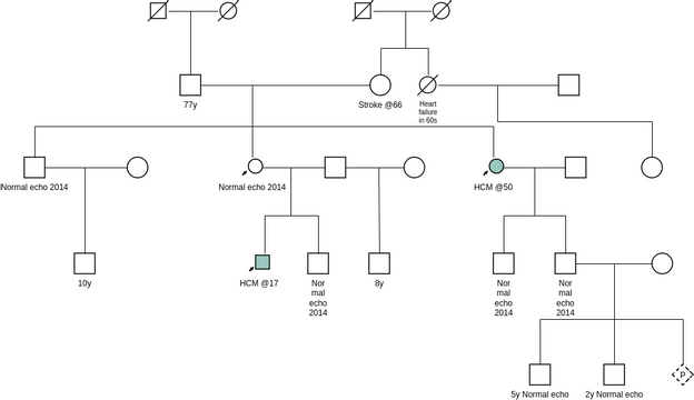 Pedigree Chart template: Pedigree Chart Medical Example (Created by Visual Paradigm Online's Pedigree Chart maker)