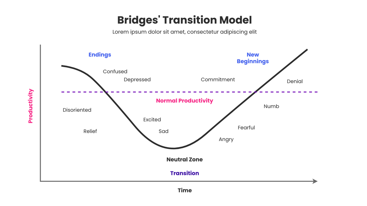 Bridges Transition Model template: Model For Bridges' Transition (Created by Visual Paradigm Online's Bridges Transition Model maker)
