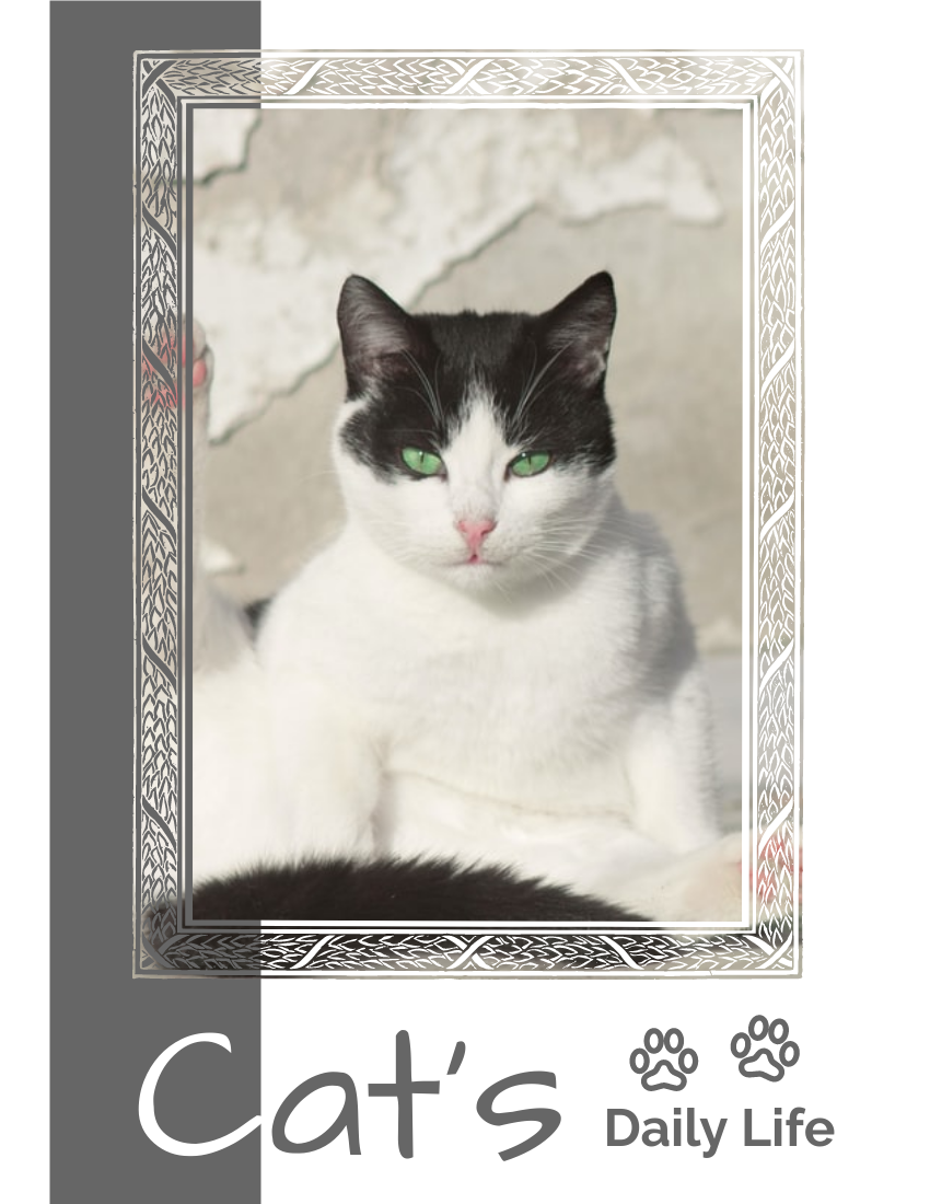 寵物照相簿 模板。 Cat's Daily Life Pet Photo Book (由 Visual Paradigm Online 的寵物照相簿軟件製作)