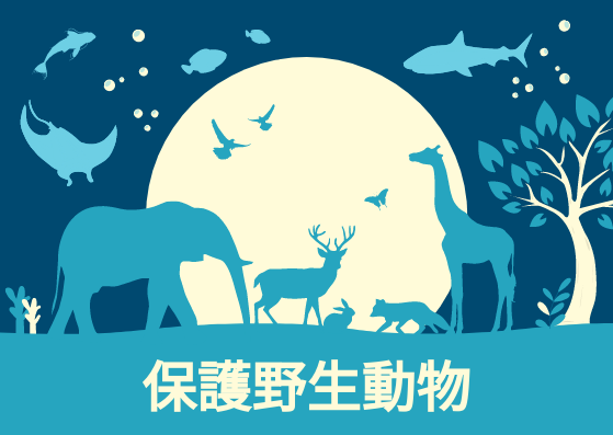 藍黃色插圖保護野生動物明信片