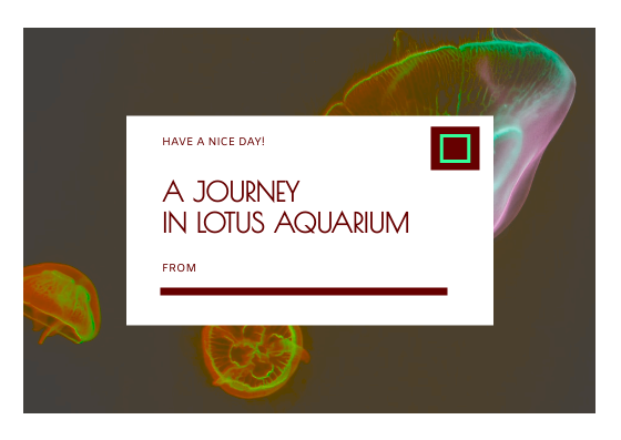 Jellyfish Aquarium Postcard