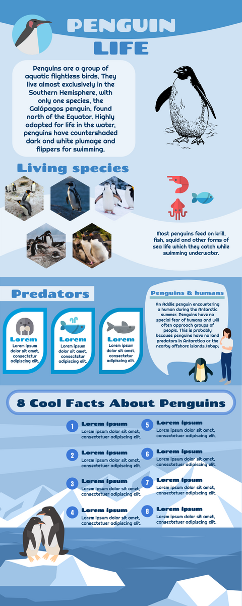 Infographic template: Life of Penguin Infographic (Created by Visual Paradigm Online's Infographic maker)