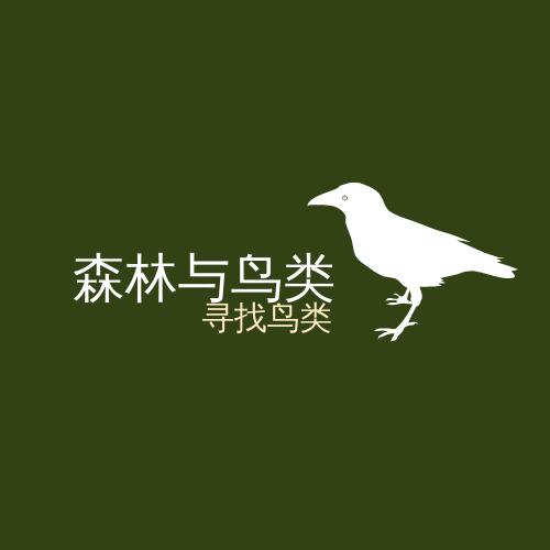 森林和鸟类徽标