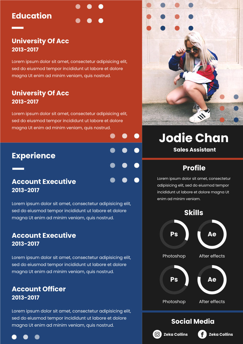 Resume template: Red And Blue Resume (Created by Visual Paradigm Online's Resume maker)