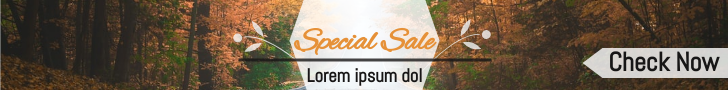Special Sale Brown Banner Ad