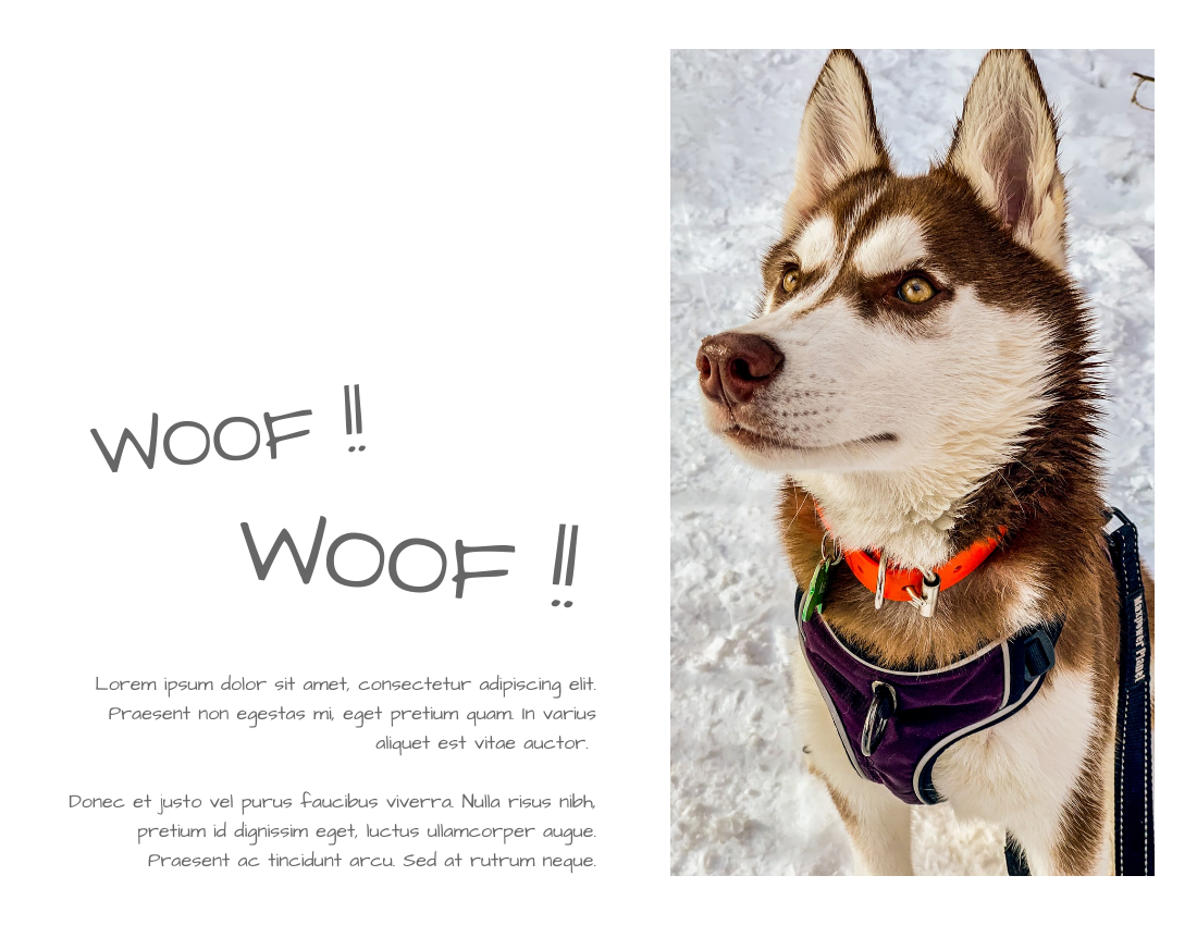 Pet Photo book template: Husky Photo Book (Created by Visual Paradigm Online's Pet Photo book maker)