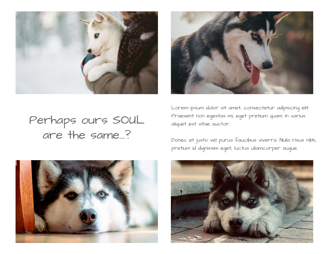 Pet Photo book template: Husky Photo Book (Created by Visual Paradigm Online's Pet Photo book maker)
