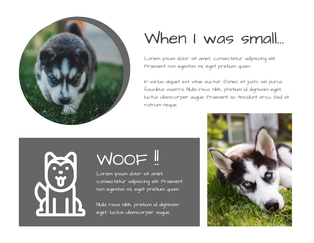 Pet Photo book template: Husky Photo Book (Created by PhotoBook's Pet Photo book maker)