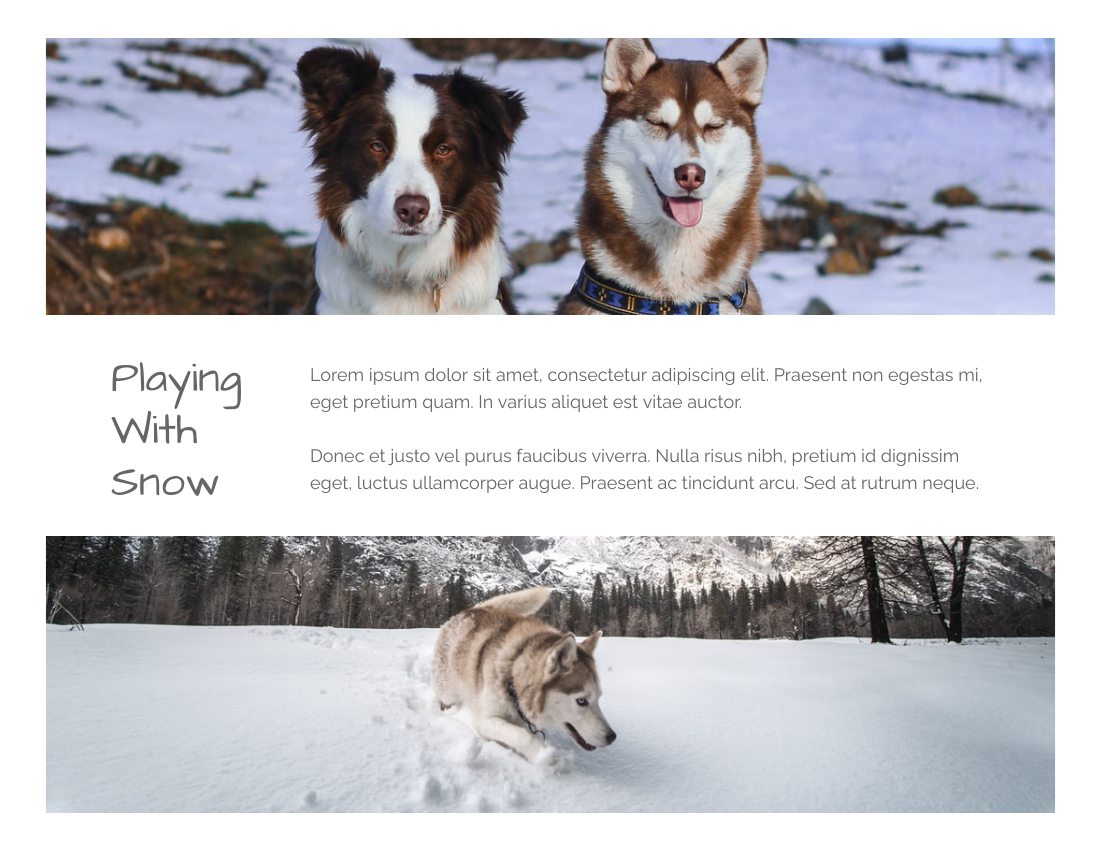 寵物照相簿 模板。 Husky Photo Book (由 Visual Paradigm Online 的寵物照相簿軟件製作)