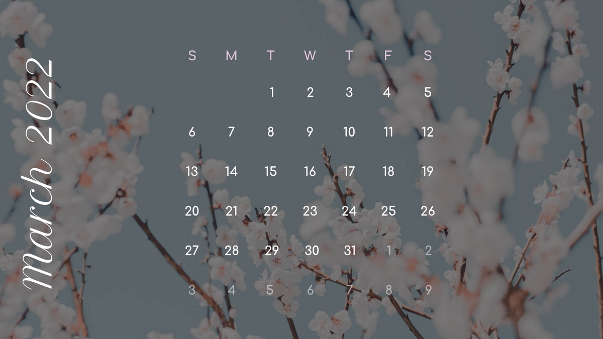 Calendar 模板。 Floral And Butterfly Calendar (由 Visual Paradigm Online 的Calendar軟件製作)